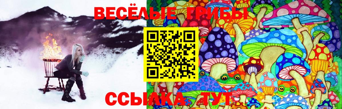 Галлюциногенные грибы прущие грибы Звенигород