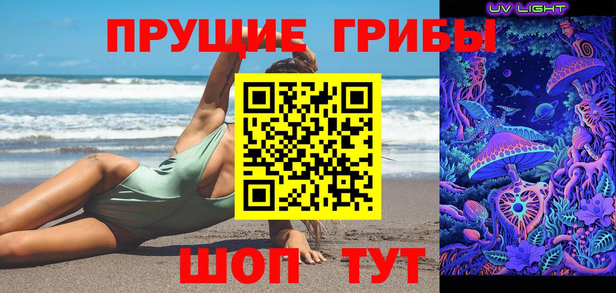Псилоцибиновые грибы прущие грибы  Вход с VPN  Псилоцибиновые грибы Psilocybine cubensis  Звенигород 